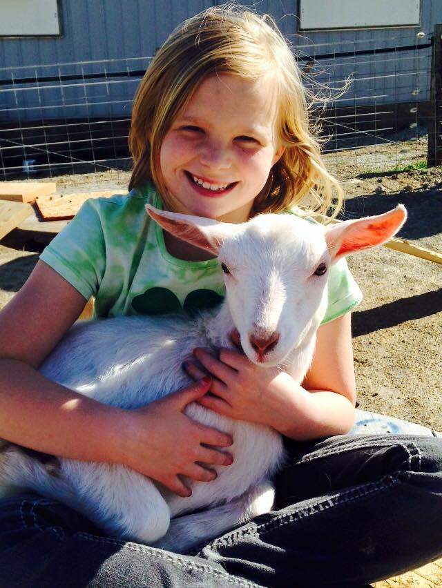 2015 IDGA Share-A-Kid Winner Ellie Karr (donor, Virden Creek Saanens) 2015 IDGA Share-A-Kid Winner Ellie Karr (donor, Virden Creek Saanens)