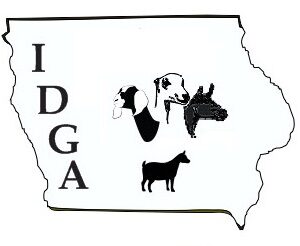 IDGA new logo