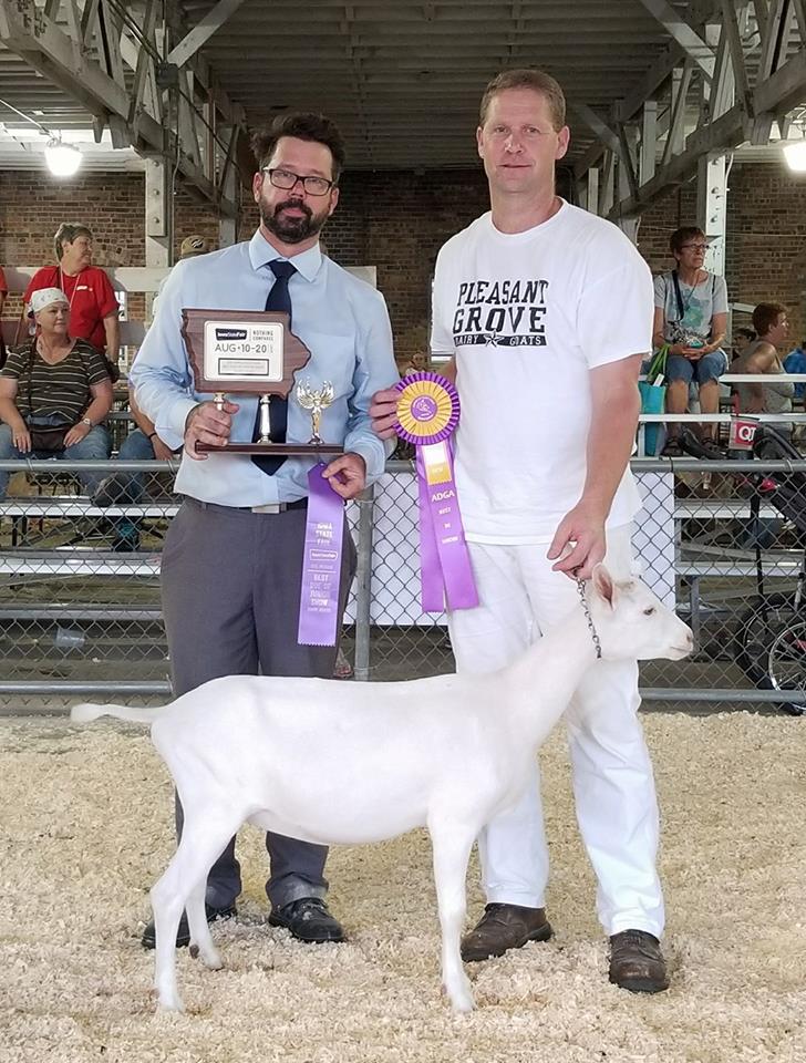 BDIS Pleasant Grove Dairy J-5 Farms Shimmer DC Finale Junior Best Doe in Show BDIS , J-5 Farms Shimmer DC Finale, Craig Koopmann and Scott Bice