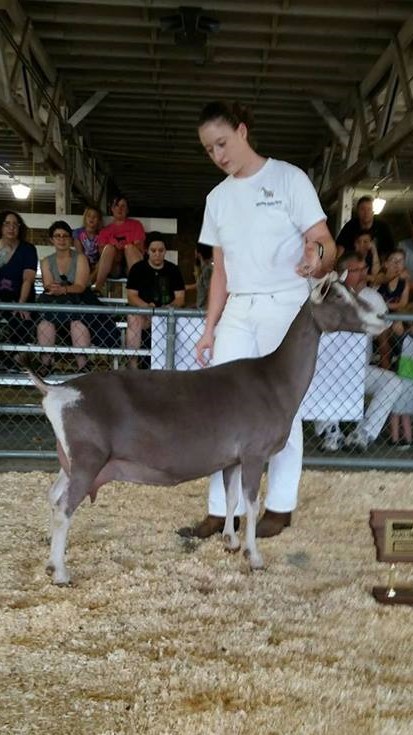 Best Udder Meadow Valley Declaration, Brittany and Justin Korver Best Udder Meadow Valley Declaration, Brittany and Justin Korver