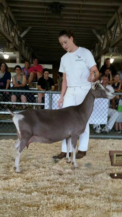 Best Udder Meadow Valley Declaration, Brittany and Justin Korver