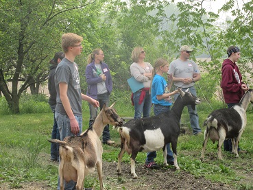 Iowa Dairy Goat Association Showing & Fitting Clinic; 4-H & FFA Judge Training